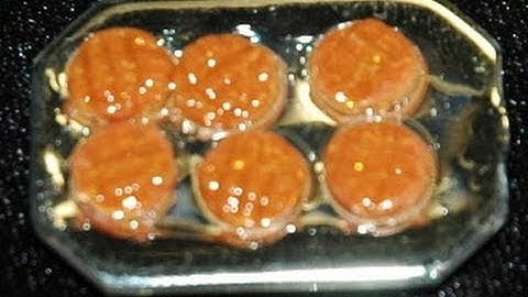 Peanut Butter Cookie in Polymer Clay by Garden of Imagination