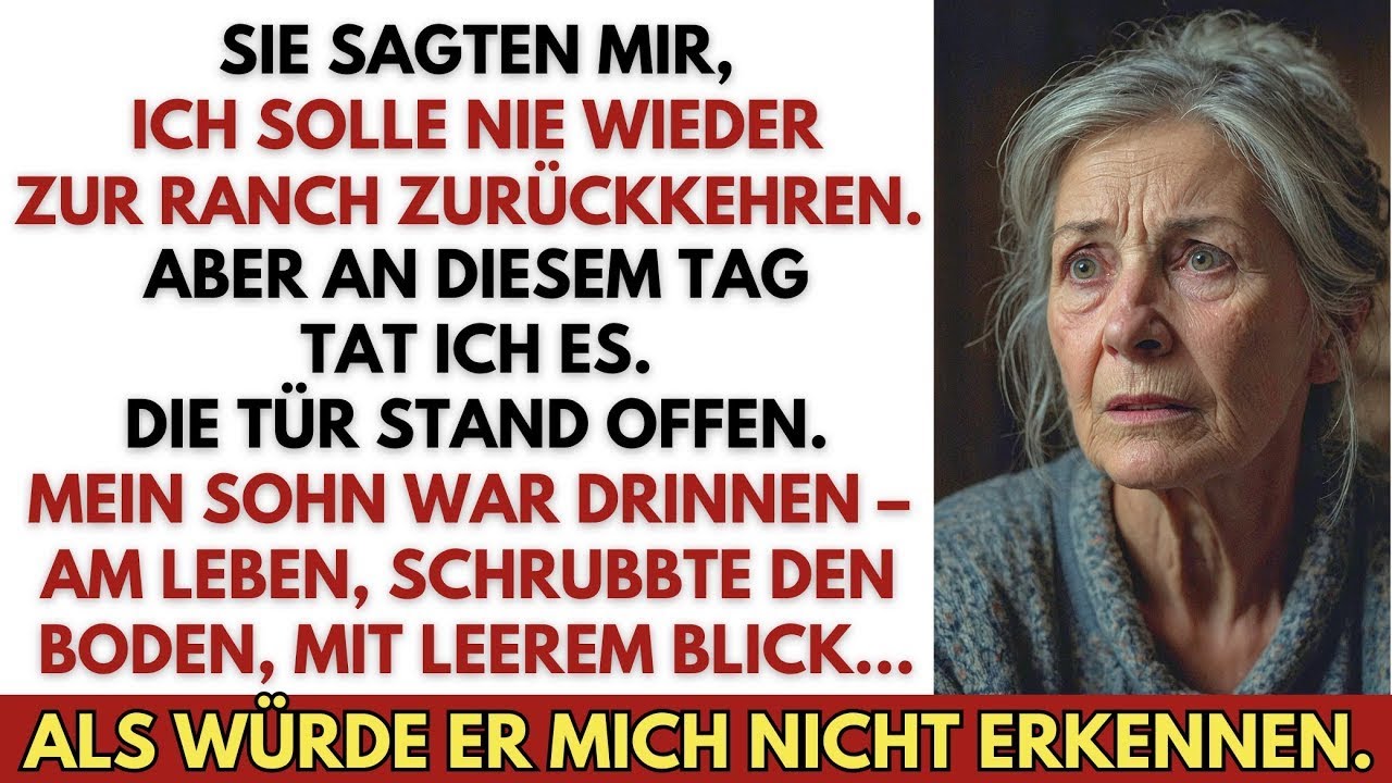 Ich beschloss, heimlich zum Haus meines Sohnes und meiner Schwiegertochter zu fahren – als ich