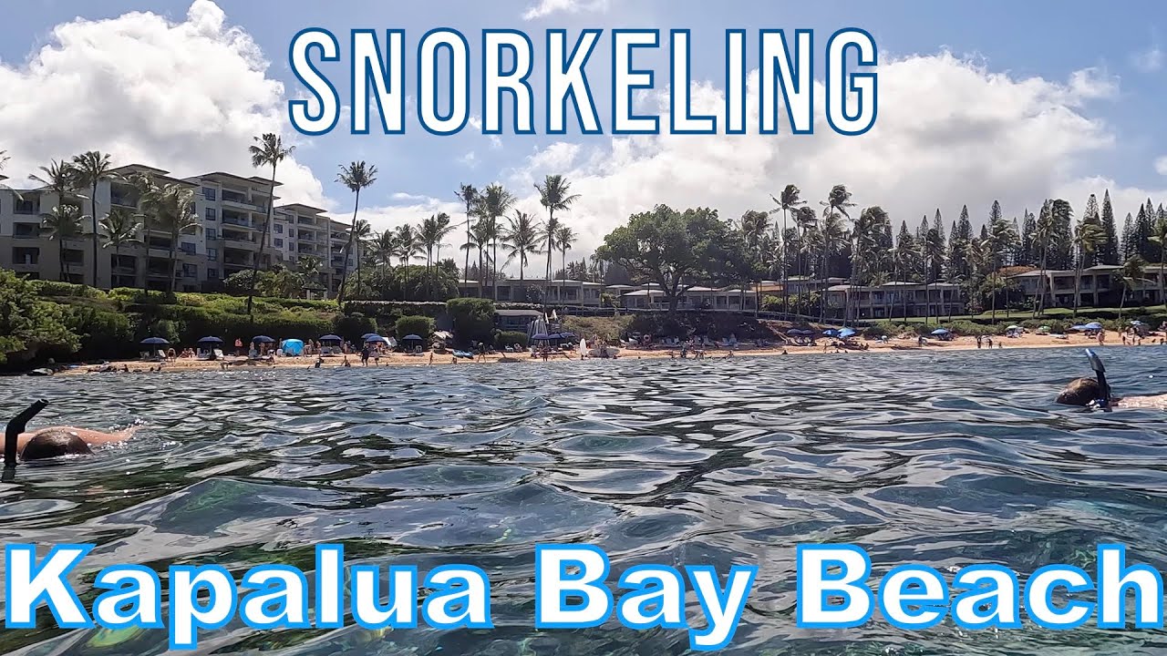 Snorkeling at Kapalua Bay Beach & Nakalele Blowhole YouTube