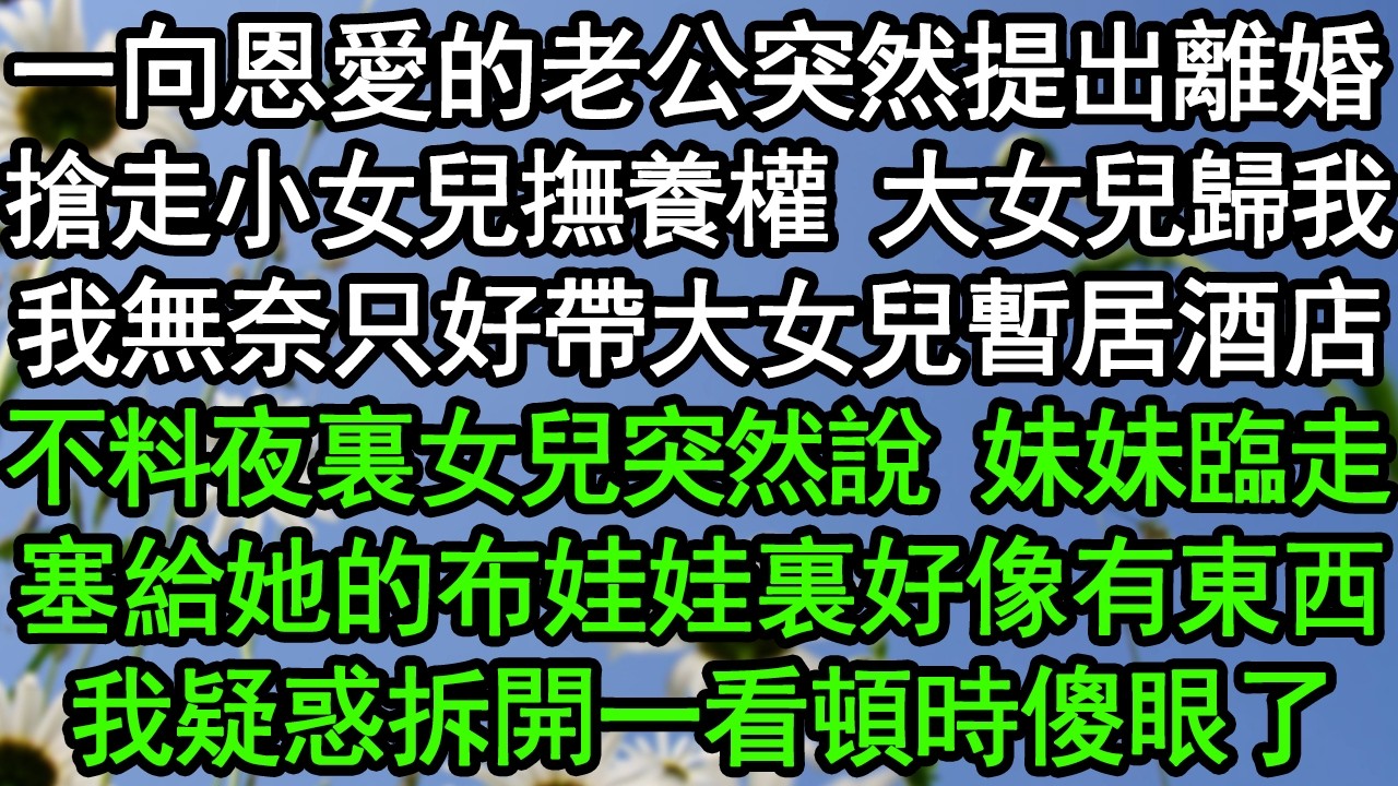 一向恩愛的老公突然提出離婚，搶走小女兒撫養權 大女兒歸我，我無奈只好帶大女兒暫居酒店，不料夜裏女兒突然說，妹妹臨走塞給她的布娃娃裏好像有東西，我疑惑拆開一看頓時傻眼了#深夜淺讀 #為人處世 #生活經驗