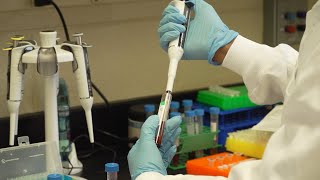 Metabolomics: Learning from elite athletes