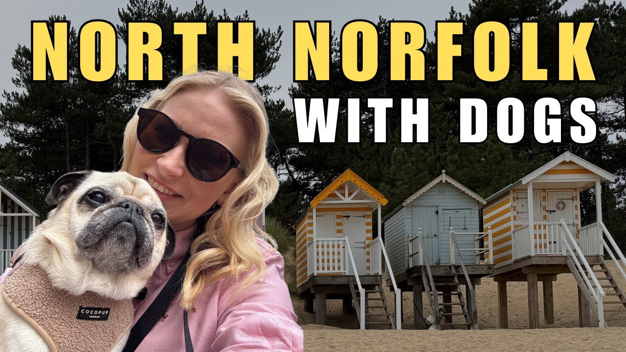 Exploring Dog-Friendly North Norfolk | Walking, Charming Coastal Towns & Scenic Views 🐾🏖️