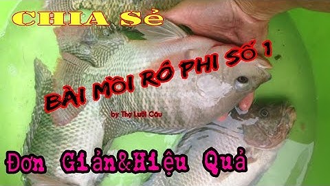 #Chia Sẻ Bài Mồi Câu Rô Phi Số 1- Câu Hồ Dịch Vụ Nhanh -Hiệu Quả và Đơn Giản