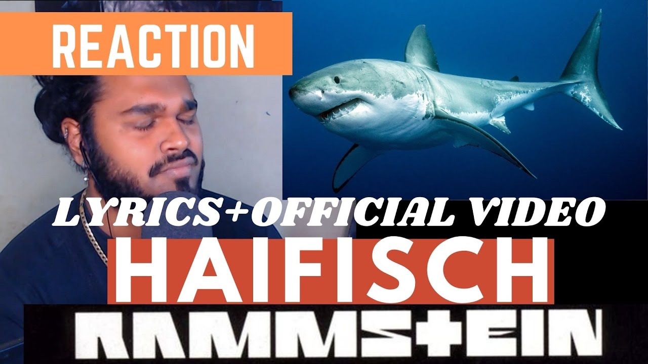 SOUTH AFRICAN REACTION TO Rammstein - Haifisch (Official Video)(English Lyrics)