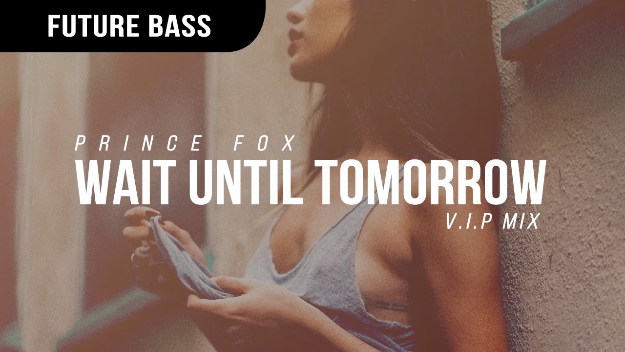Prince Fox - Wait Until Tomorrow V.I.P.
