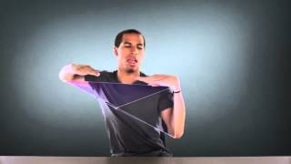 Famous Hand geometry with dubstep Profile