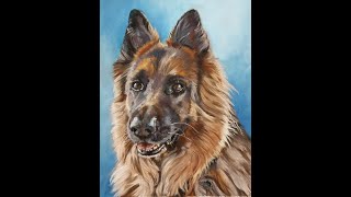 German Shepherd in soft pastels. A relaxing speed video by C. E. McHugh screenshot 2