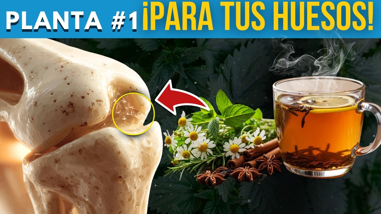 🌿14 PLANTAS PODEROSAS que FORTALECEN HUESOS y ARTICULACIONES💚| (Previenen OSTEOPOROSIS Naturalmente)