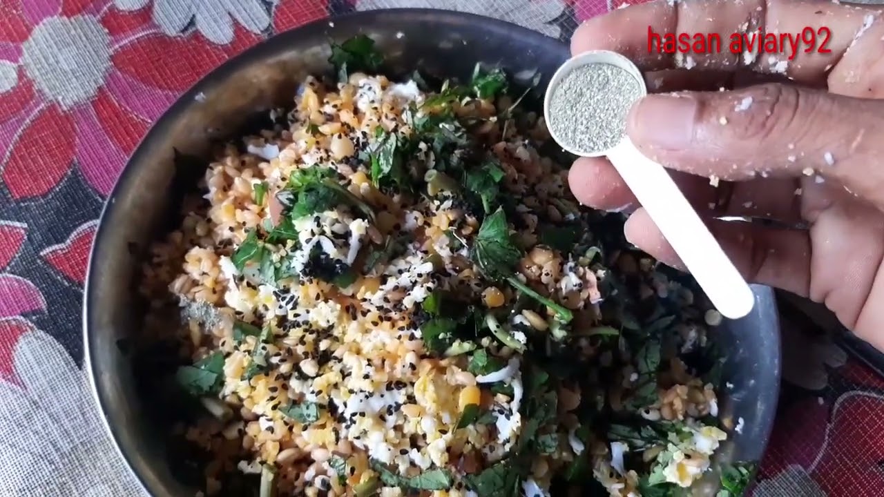 Daily Softfood hasan aviary92