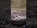 Satisfying Metal Melting 🔥 #shorts #viral #metal #ASMR