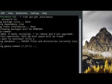 Linux Mint - Remove Old Packages