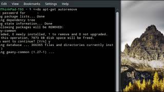 Linux Mint - Remove Old Packages