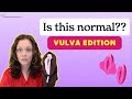 IS THIS NORMAL Vulva Edition Dr Jennifer Lincoln 