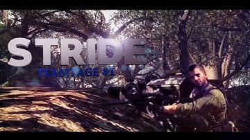 Stride: Multi-Cod Teamtage #1