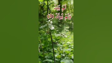 سورة الاخلاص- الشيخ حسن صالح - برواية حفص عن عاصم