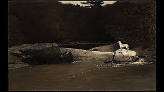 Cinematic: Introverted Sensing (Si)