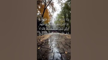 سورة القصص من  آية 21 إلى آية 23 بصوت الشيخ ياسر الدوسري♥♥