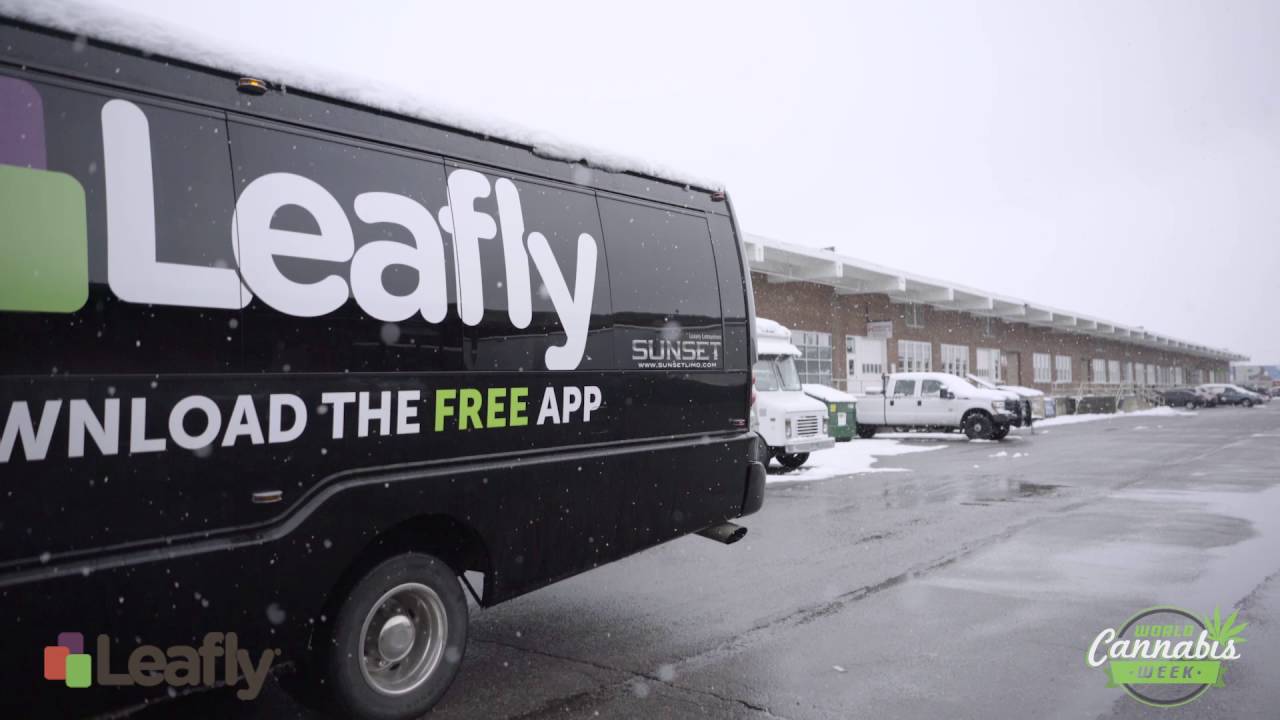 Leafly at World Cannabis Week