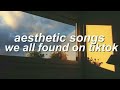 popular aesthetic songs that we all found from tiktok