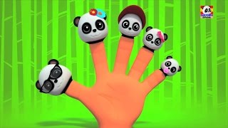 Panda dedo de la familia | 3D Cartoon para los niños | video educativo |Populares la poesía infantil