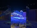 Christmas at the Creation Museum Shines Bright