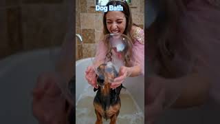 This Dog's Reaction to a Bath is Priceless! 🐶💦