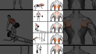 The Complete V-Taper Back Routine for Muscle Hypertrophy
