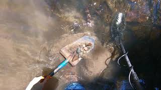 LIVE DIG ACTION!! Simplex+ SP24 coil in the flowing creek