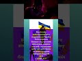 ЗСУ #подкасттерапія #славазсу #новости #новини #news #зсу