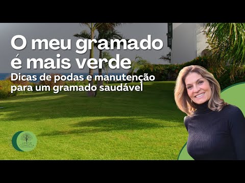 Vídeo: Receitas De Gramado Verde
