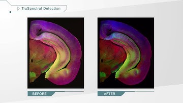2. TruSpectral Detection