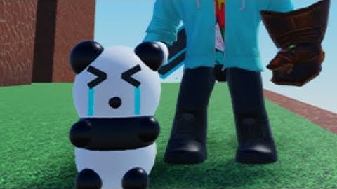 Roblox Find the Panda