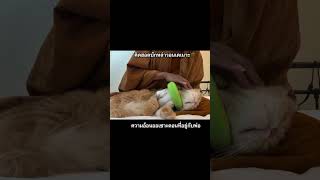 เดี๋ยวพ่อเสกคาถาให้ #เฮียจีวอน หายไวๆนะ