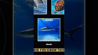 Bottom trawling #science #viralshort #sciencefacts