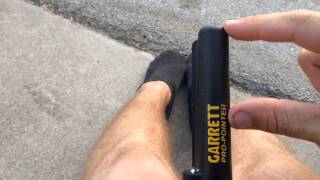 Garrett Pro pointer not function correctly