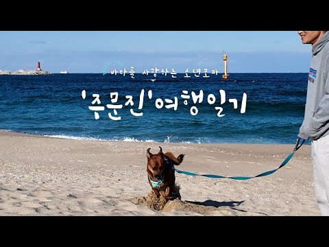 모카와 함께한 주문진 여행, 정겨운 숙소와 바다 소리 파도소리 ASMR