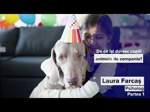 Video: Ar Trebui Să Cumpărați Asigurări Pentru Animale De Companie Pentru Un Animal De Companie Tânăr și Sănătos?
