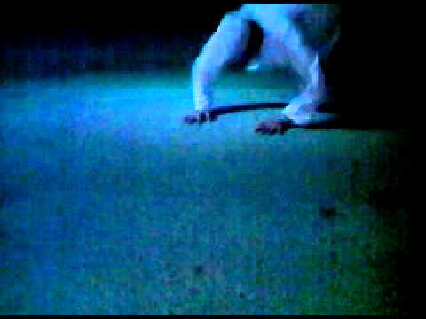 تقليد مستر بن 