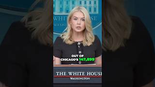Chicago Crime: Shocking Statistics & Unacceptable Numbers! #chica,#trump ,#karolineleavitt