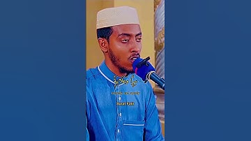 سورة فاطر الشيخ عفيف محمد تاج #تلاوات #اللهم #سورة #reels #القرآن #الله #quran #viral #تلاوة #الشيخ