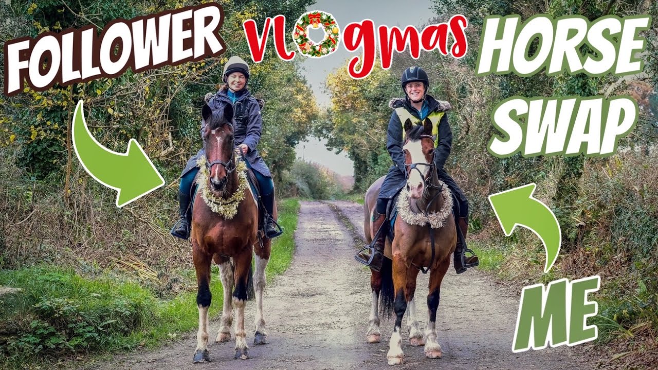 HORSE SWAP Follower Rides my Horse YouTube