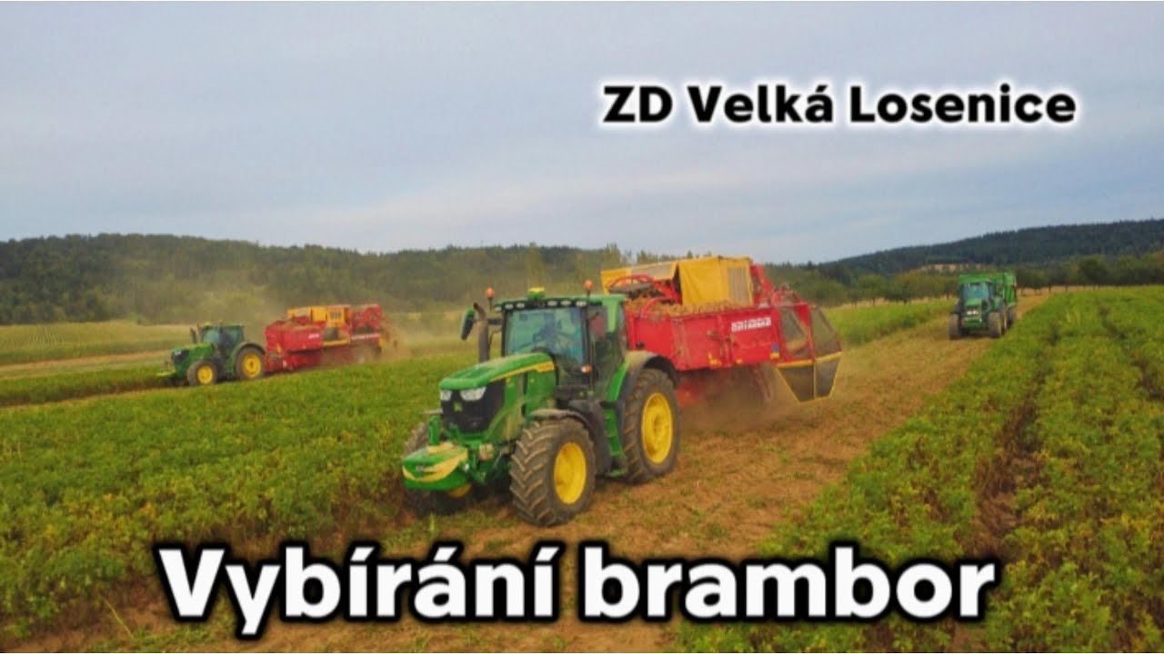 Vybírání brambor 2025 🥔🦌| ZD Velká Losenice