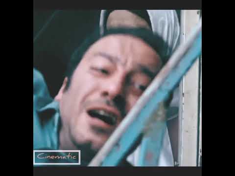   پیمان معادی از درباره الی تا درخت گردو