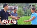 《科技苑》 20171212 山区稻田也能养出大鱼了 | CCTV农业