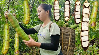 Harvest forest fruits Bring to market Sell - cooking, daily life | Ma Thi Di