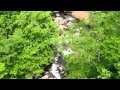 自然の音景色L 渓流とウグイス・Nature Sound