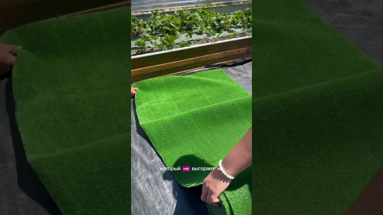 Искусственный газон