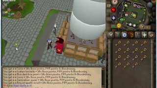 reaper scape 317 OSRS runescape private server