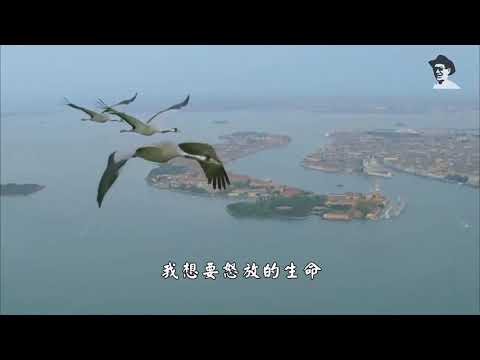 怒放的生命相助同行 剪輯版