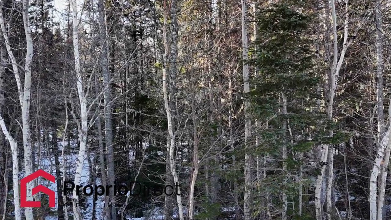 Terrain Sept-Îles 39 500 $ À vendre par Proprio Direct